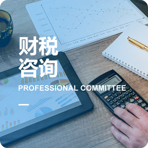 福建省信息技術(shù)咨詢服務(wù)行業(yè)協(xié)會(huì)專(zhuān)業(yè)委員會(huì)介紹